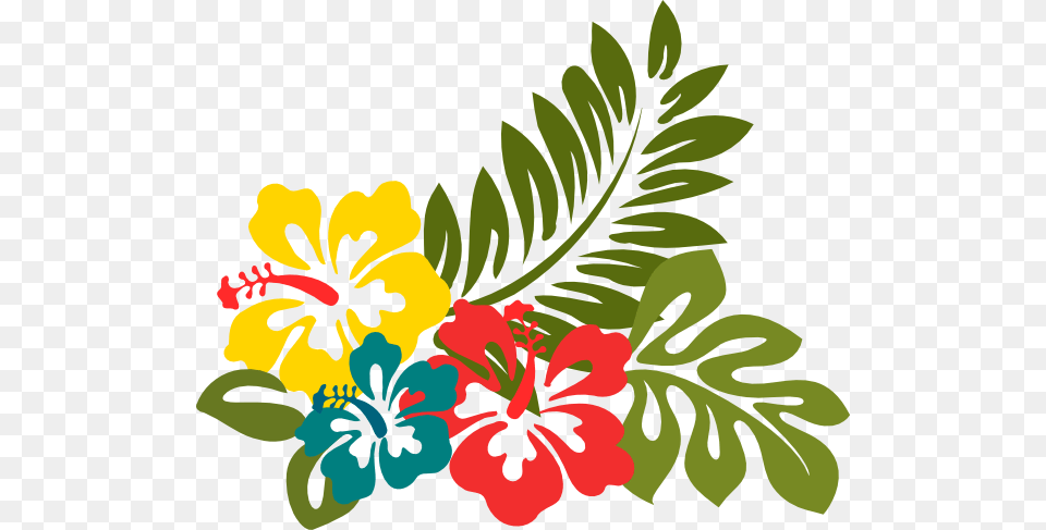 Hibiscus Clip Art, Flower, Graphics, Plant, Floral Design Png
