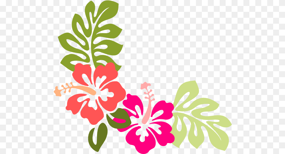 Hibiscus Clip Art Hibiscus Image Vector Hibiscus Clip Art, Flower, Plant Free Transparent Png