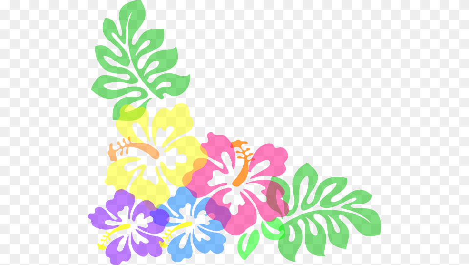 Hibiscus Clipart, Art, Floral Design, Flower, Graphics Free Transparent Png