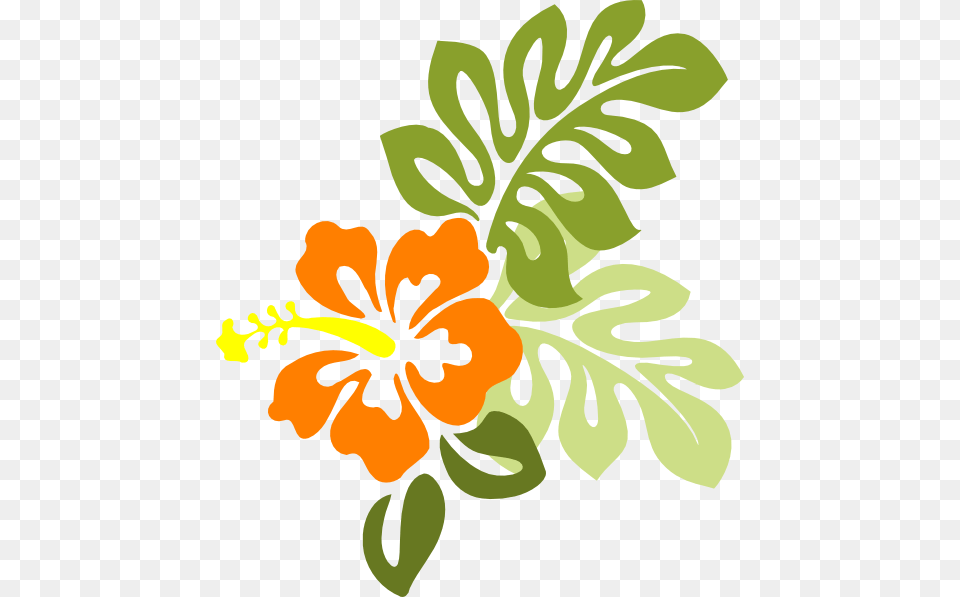 Hibiscus Clipart, Flower, Herbal, Herbs, Plant Free Png Download
