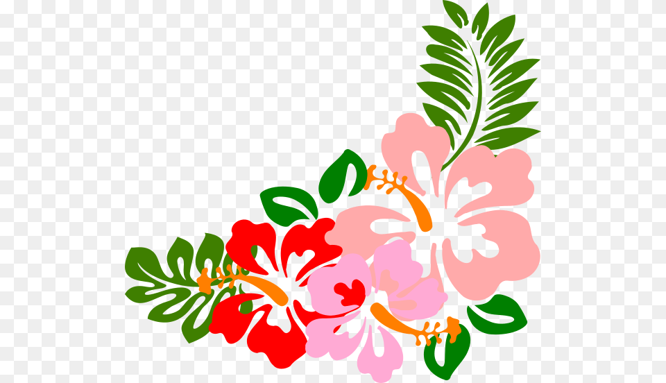 Hibiscus Clipart, Plant, Flower, Pattern, Art Free Png