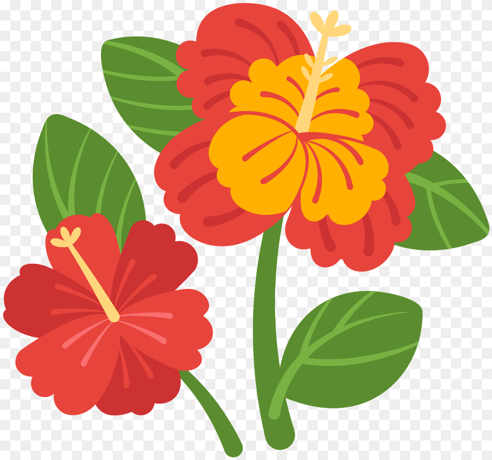 Hibiscus Clipart, Flower, Plant, Anther Free Png Download