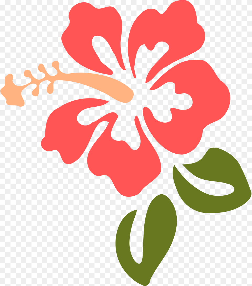 Hibiscus Clipart, Flower, Plant Png Image