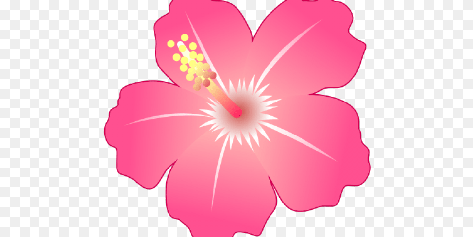 Hibiscus Clipart Emoji Download Full Size Clipart Hibiscus Emoji Svg, Flower, Plant, Petal, Person Png