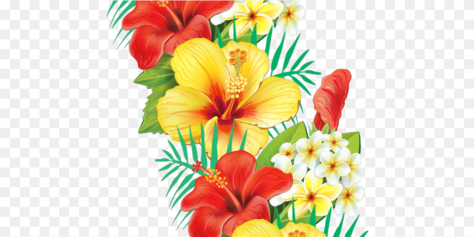 Hibiscus Clipart Flower Boarder Cafepress Tropical Hibiscus Tile Coaster, Plant, Flower Arrangement, Flower Bouquet, Person Free Png