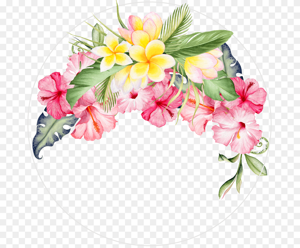 Hibiscus Clipart Frangipani Artificial Flower, Plant, Art, Floral Design, Graphics Png Image