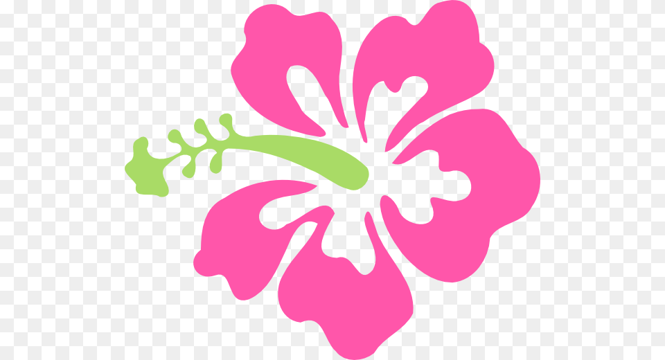 Hibiscus Clipart Green Pink Hibiscus Flower Clipart, Plant Free Transparent Png