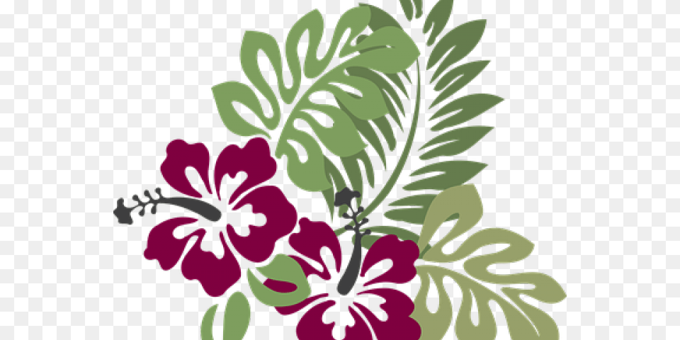 Hibiscus Clipart Jaswand Hibiscus Clip Art, Plant, Flower, Geranium, Pattern Png