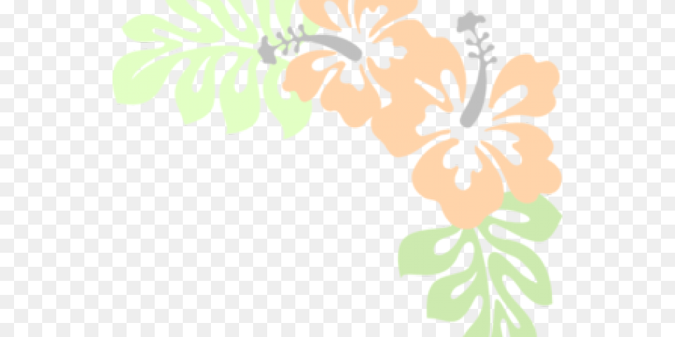 Hibiscus Clipart Peach, Flower, Plant, Person, Face Png Image