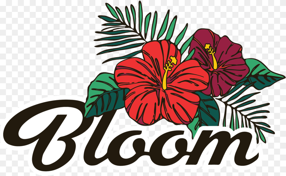 Hibiscus Clipart Shrub Hawaiian Hibiscus, Flower, Plant, Anther Free Png