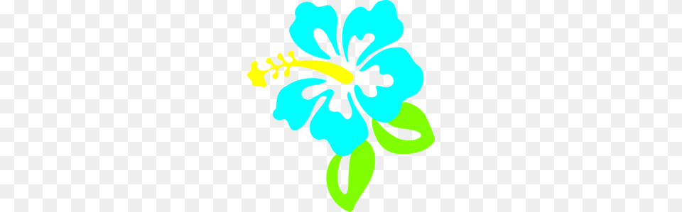 Hibiscus Clipart Teal, Flower, Plant, Baby, Person Free Transparent Png