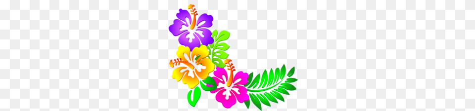 Hibiscus Corner Clip Art, Flower, Plant, Graphics, Pattern Png