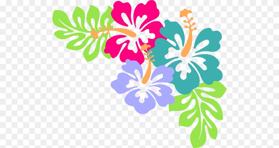 Hibiscus Corner Clip Art, Flower, Plant, Floral Design, Graphics Free Transparent Png