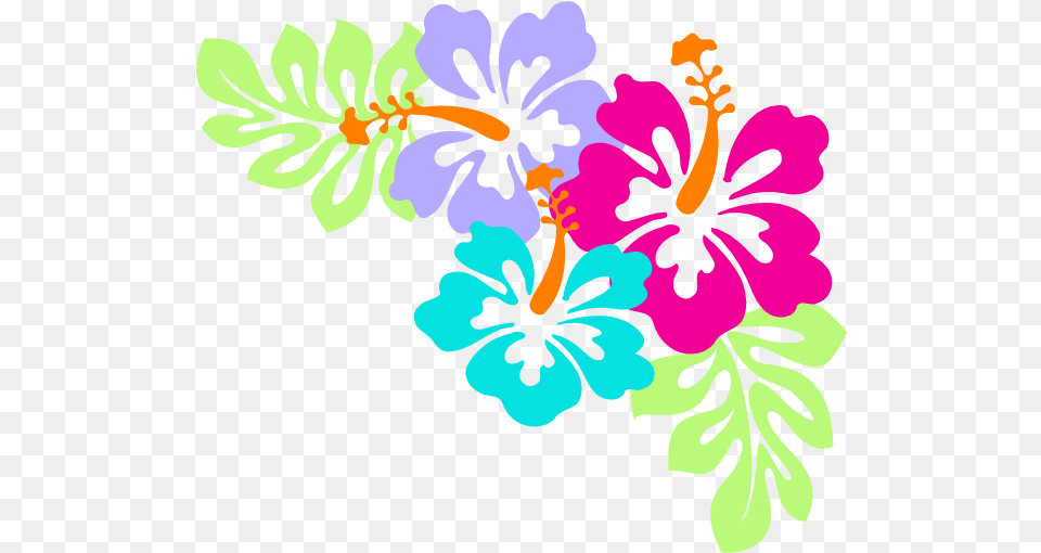 Hibiscus Corner Clip Art Hawaiian Luau Clipart Transparent Hawaiian Flowers, Flower, Plant, Pattern Png Image