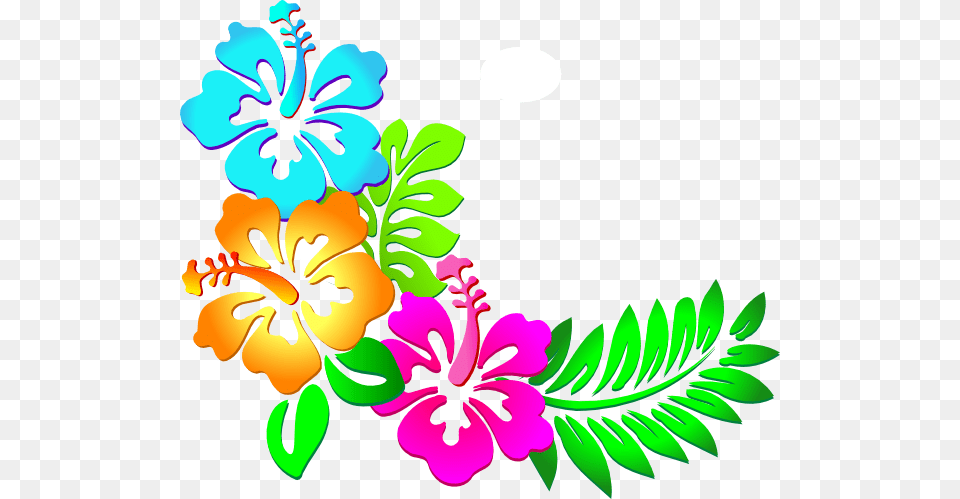 Hibiscus Corner Clip Art Vector Flower Border, Floral Design, Graphics, Pattern, Plant Free Png Download
