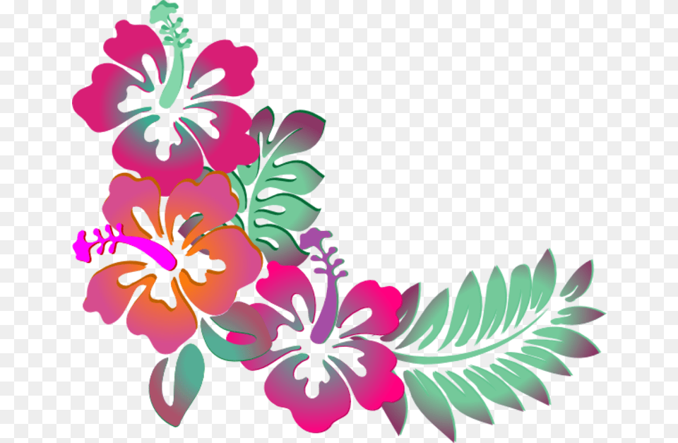 Hibiscus Design Flower Border Clipart, Art, Pattern, Plant, Graphics Free Transparent Png