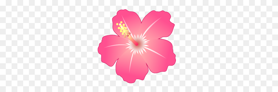 Hibiscus Emojidex, Flower, Plant, Petal, Dynamite Free Transparent Png