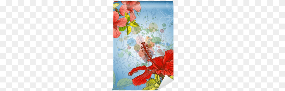 Hibiscus Flower Amp Watercolor Background Wall Mural Hibiscus Vector, Plant Png Image