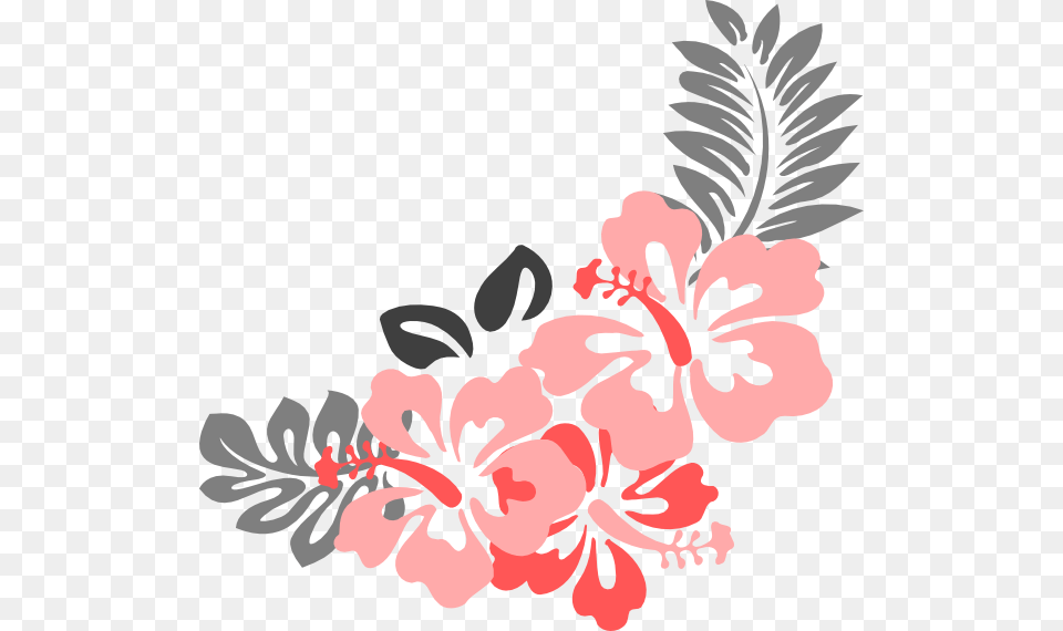 Hibiscus Flower Border Coral Flowers Clip Art, Floral Design, Graphics, Pattern, Plant Png Image