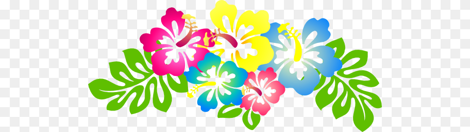 Hibiscus Flower Clip Art Clip Art, Plant, Graphics, Floral Design, Pattern Free Png