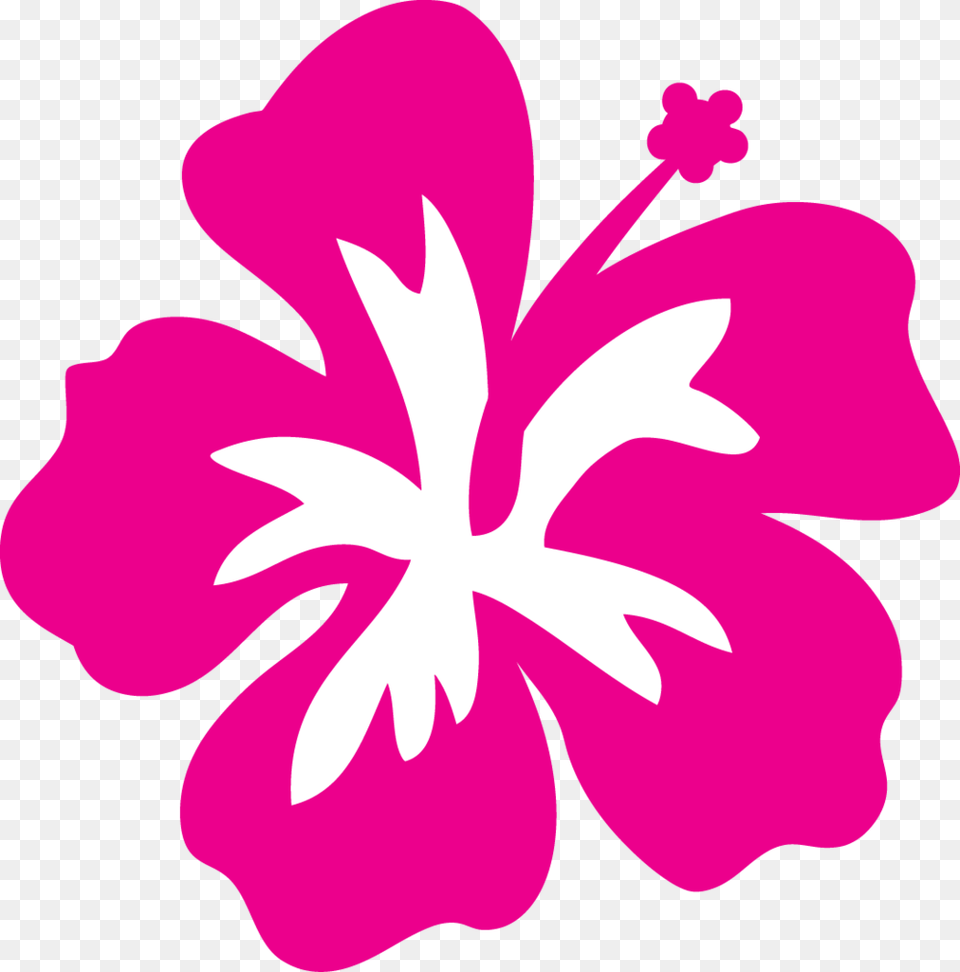 Hibiscus Flower Clip Art Project Hawaii Hibiscus, Plant, Person Free Png Download