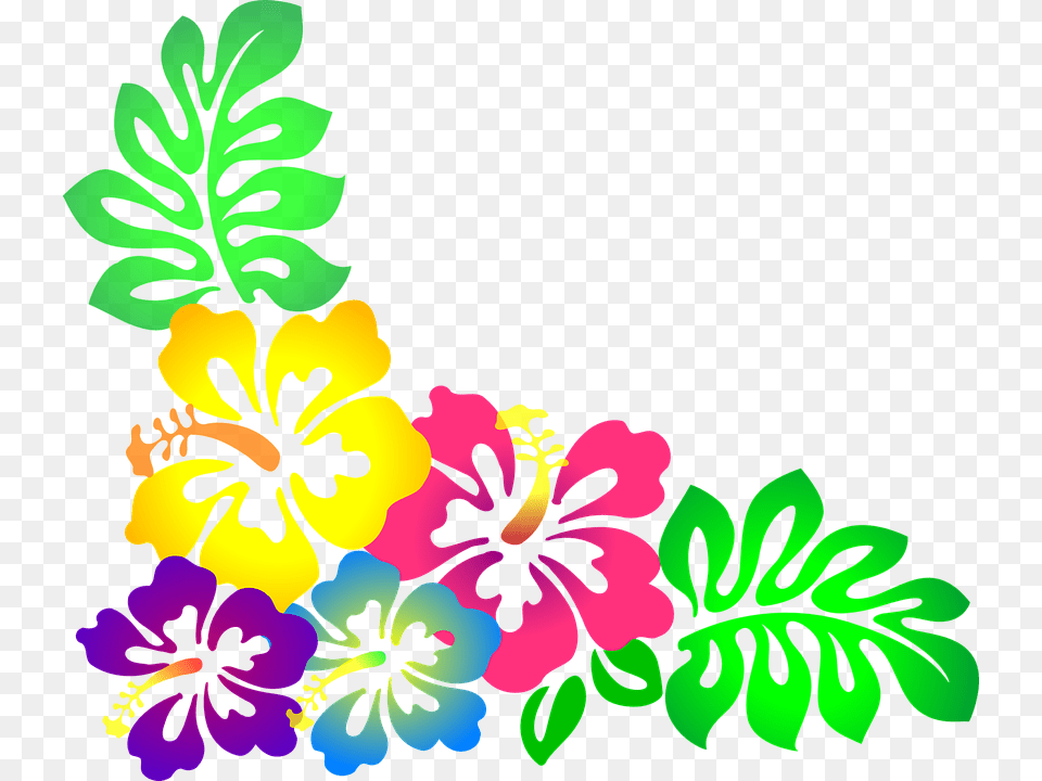 Hibiscus Flower Clipart, Plant, Pattern, Art, Floral Design Free Transparent Png