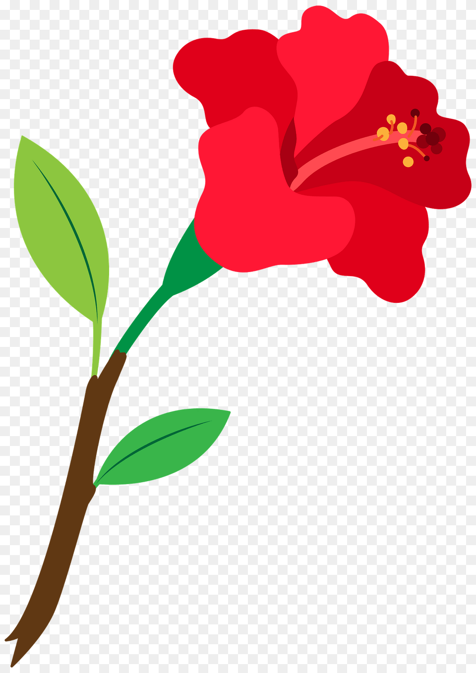 Hibiscus Flower Clipart, Plant, Anther Free Png Download