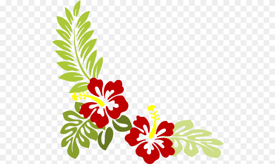 Hibiscus Flower Clipart Hawaiian Flowers Clip Art, Plant Free Transparent Png