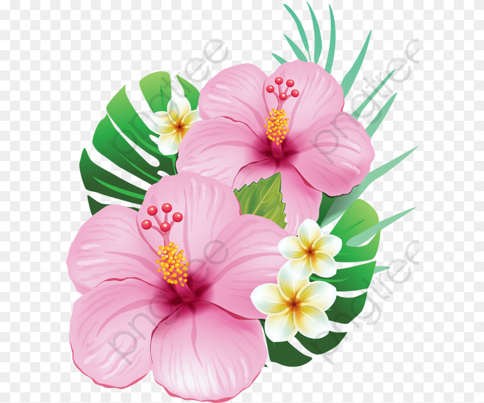 Hibiscus Flower Clipart Realistic Tropical Flowers, Plant, Anther Png