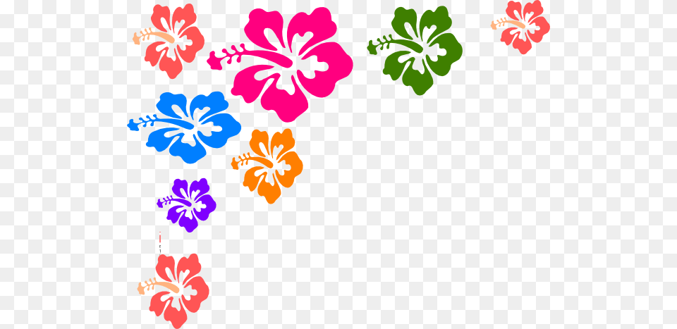 Hibiscus Flower Color Clip Art, Plant Png Image