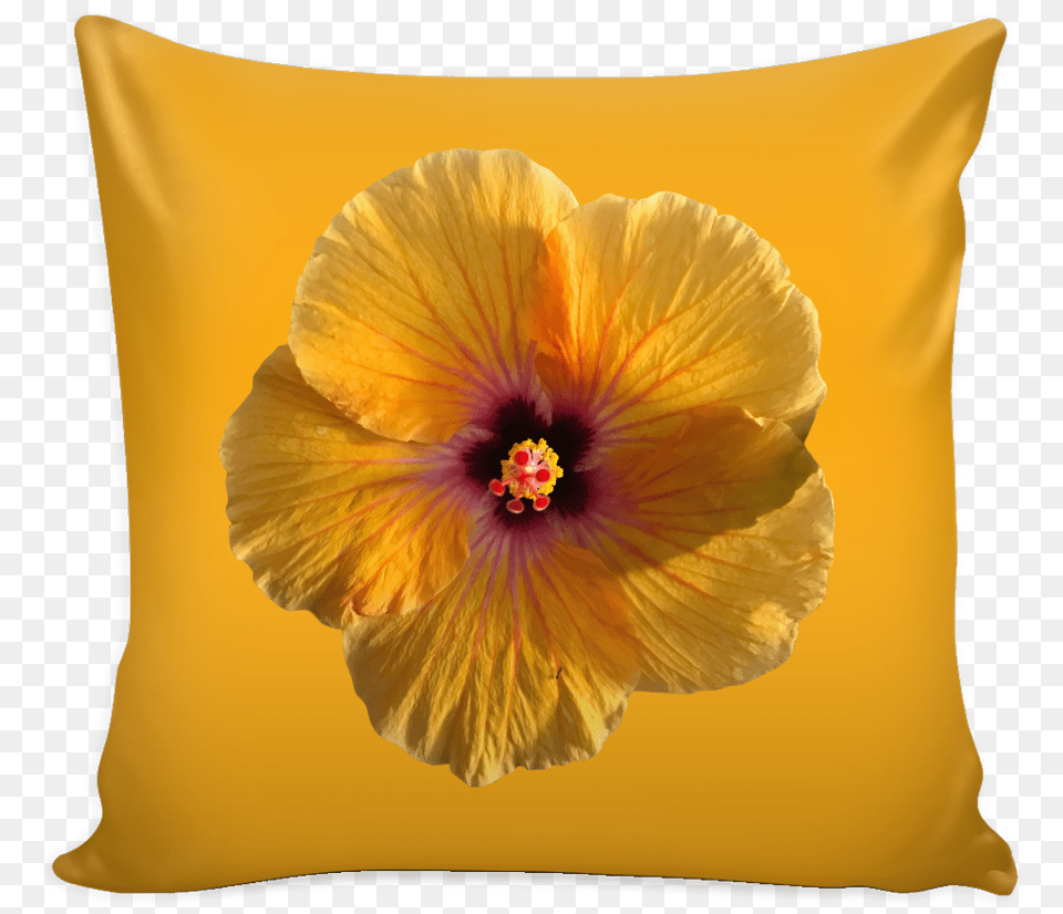 Hibiscus Flower Cushion Cover Pillow, Home Decor, Plant Free Transparent Png