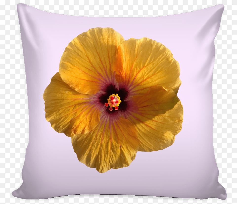 Hibiscus Flower Hawaiian Hibiscus, Cushion, Home Decor, Plant, Pillow Free Png