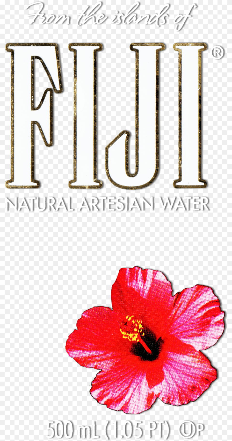 Hibiscus Flower Image Fiji Water Flower, Plant, Book, Publication, Rose Free Png Download