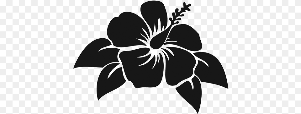 Hibiscus Flower Island Die Cut Vinyl Decal Pv Hawaiian Flower Silhouette, Plant, Petal, Person, Art Png Image