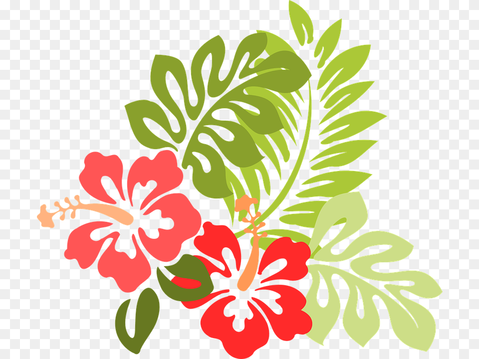 Hibiscus Flower Leaf Foliage Beach Flower Clip Art, Plant Free Png Download