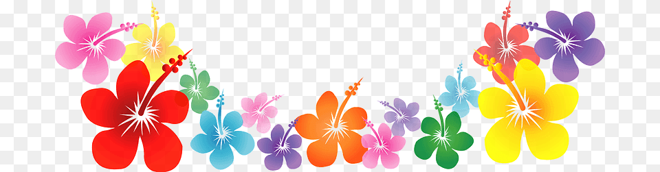 Hibiscus Flower Line Clipart, Art, Floral Design, Graphics, Pattern Png