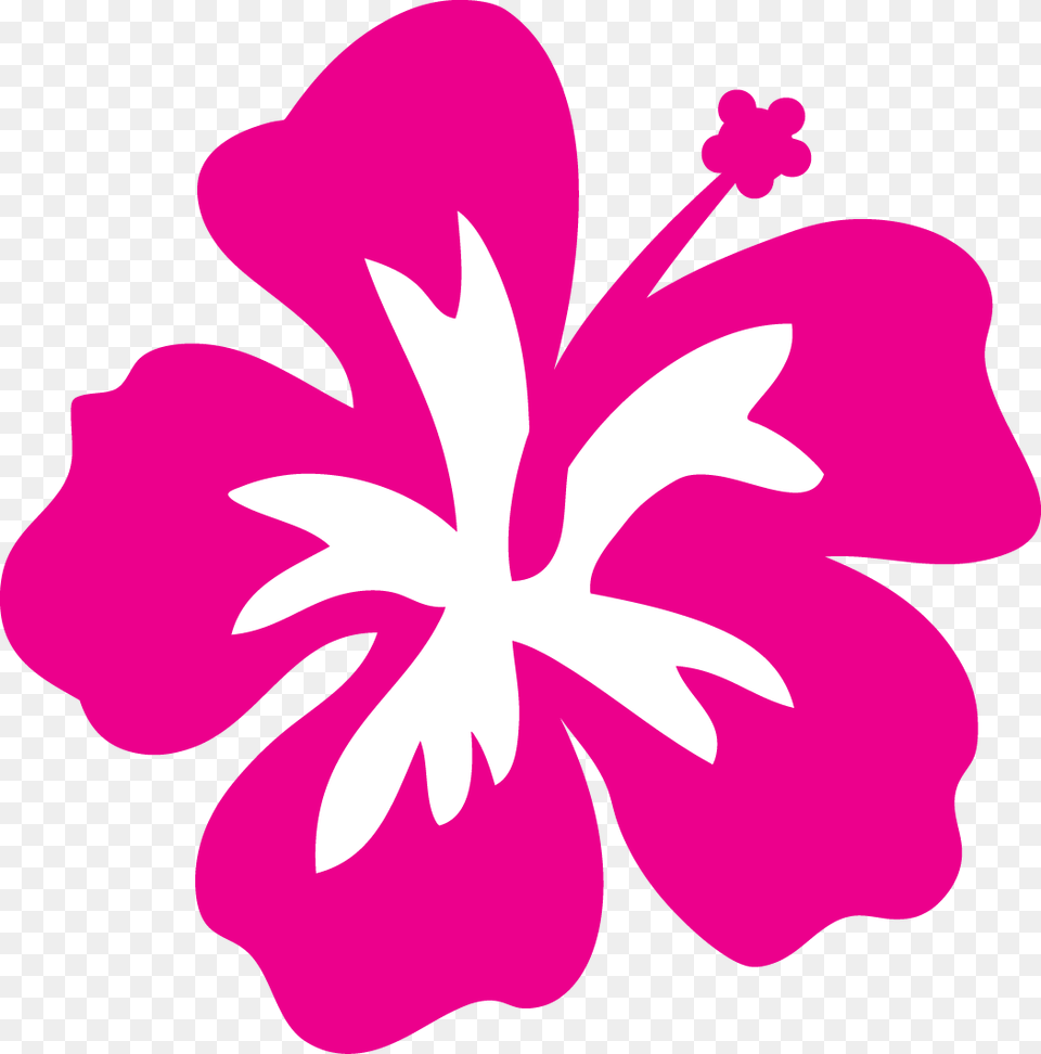 Hibiscus Flower Outline Free Download Clip Art Free Hibiscus Flower Clipart, Plant, Baby, Person, Anther Png