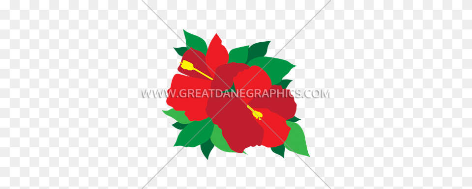 Hibiscus Flower Production Ready Artwork For T Shirt Printing, Plant, Leaf Free Png