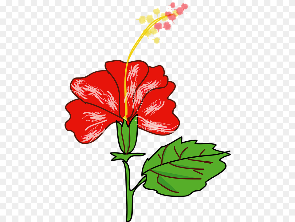 Hibiscus Flower Red Vector Graphic On Pixabay Gumamela Clipart, Plant, Food, Ketchup Free Png Download