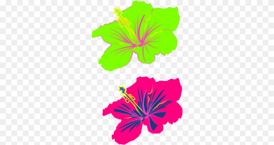 Hibiscus Flower Svg Hibiscus Flower Clipart Yellow, Plant, Geranium, Anther Free Png Download