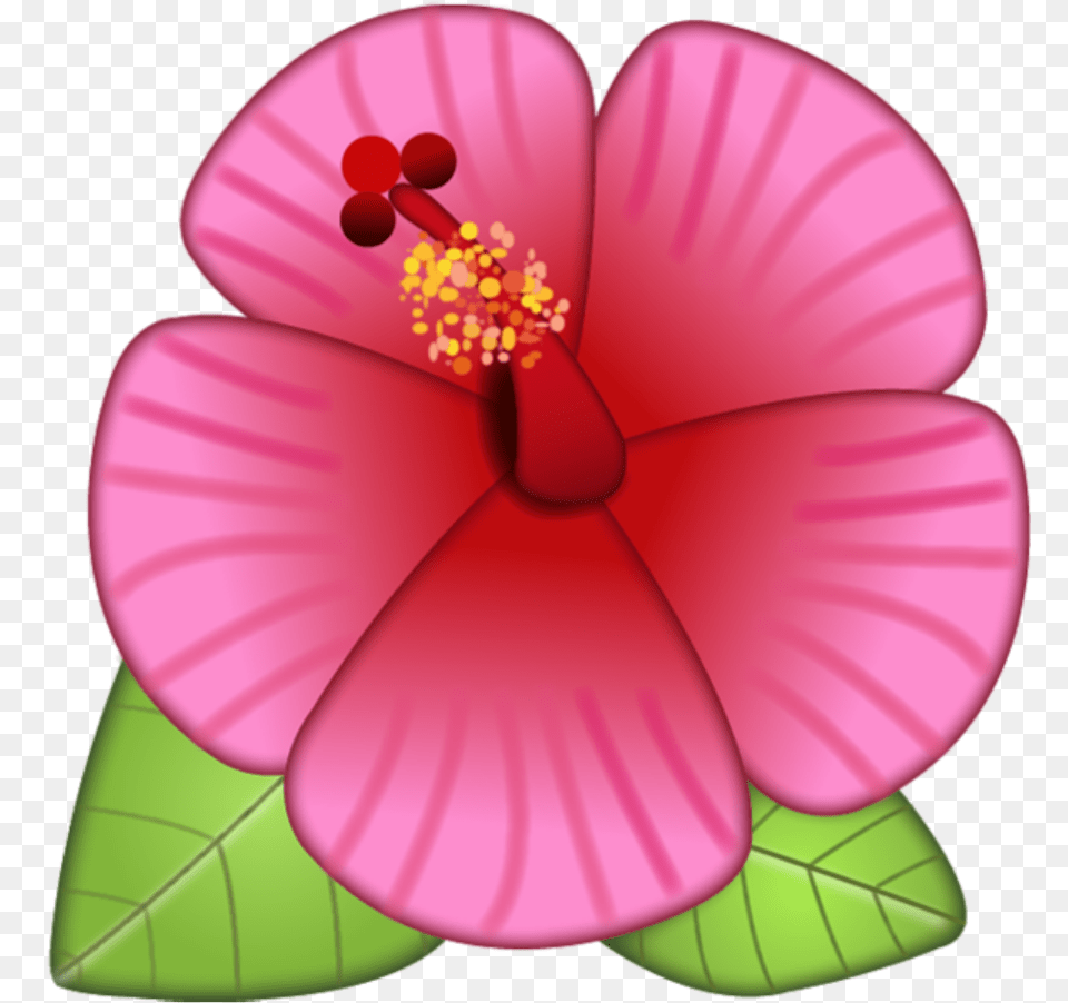 Hibiscus Flower Transparent U0026 Clipart Download Ywd Flower Emoji Clipart, Petal, Plant, Anther, Pollen Png Image