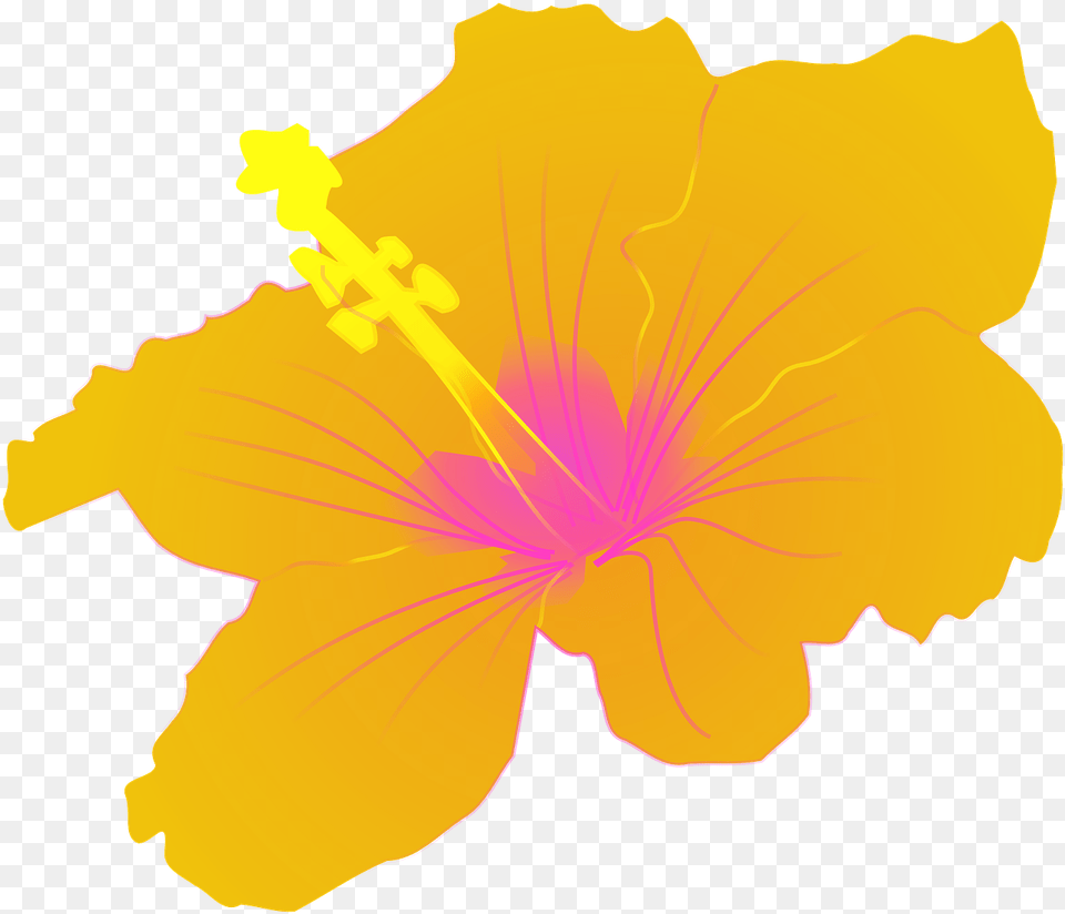 Hibiscus Flower Tropical Hibiscus Clip Art, Plant, Person, Petal, Anther Free Transparent Png