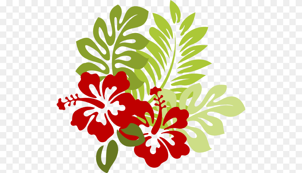 Hibiscus Flower Vector, Plant, Art, Floral Design, Graphics Free Png