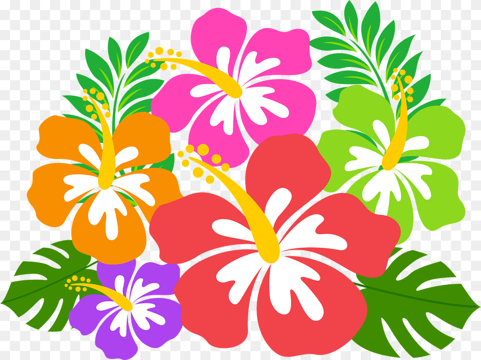 Hibiscus Flowers Clipart, Flower, Plant Free Transparent Png