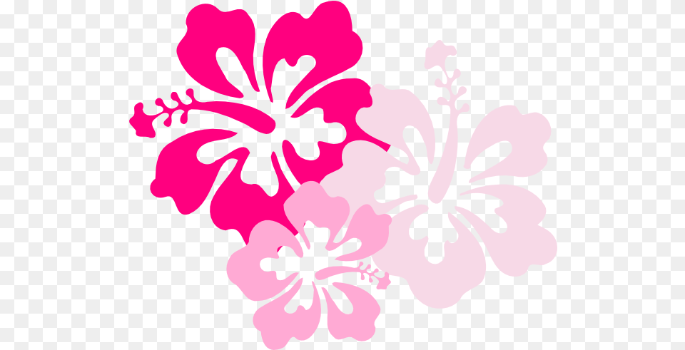 Hibiscus Flowers Patterns U0026 Clipart Pink Hibiscus Clipart, Flower, Plant Free Transparent Png