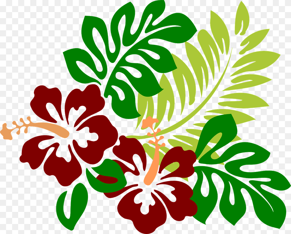 Hibiscus Flowers Red Tropical Hawaiian Blossoms Hibiscus Clip Art, Flower, Herbal, Herbs, Plant Png Image