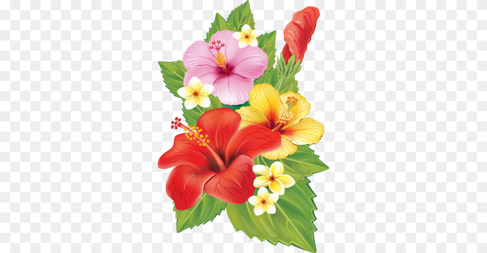 Hibiscus Garden Clipart Explore Pictures, Flower, Plant, Birthday Cake, Cake Png