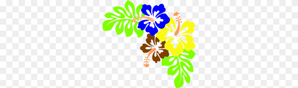 Hibiscus Hawaii Flower Clip Arts For Web, Plant, Pattern Png Image