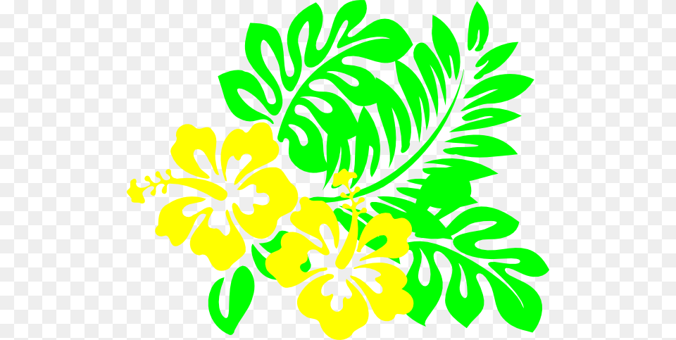Hibiscus Hibiscus Clip Art, Floral Design, Graphics, Herbal, Herbs Free Png Download