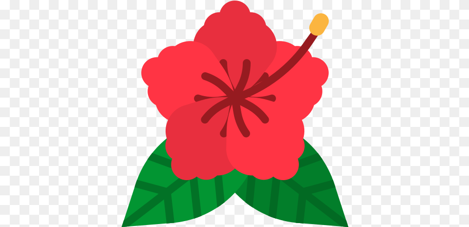 Hibiscus Hibiscus Icon Hd, Flower, Plant, Person Png